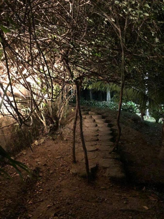 Plasencia Estate Omoa Eksteriør billede